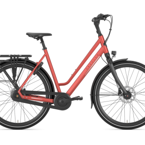 Gazelle Chamonix C8 lage instap